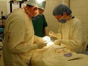 Working together on Jose