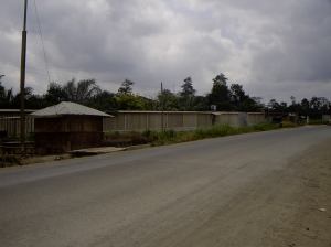 View of the front wall from across the street