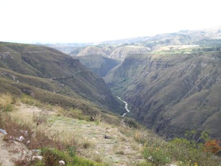 Looking the other direction