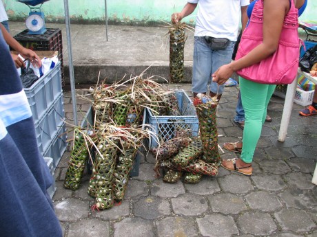 Woven grass bags filled with live crabs