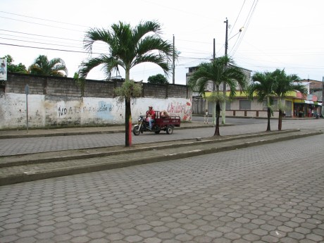 This big pig is going to the market.