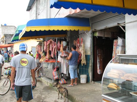 Local meat market