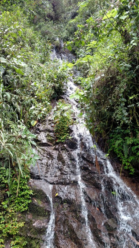 Waterfall down the mountain side beside the road to the hummingbirds