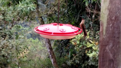 IMG_20160731_142601468