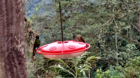 IMG_20160731_143109989_HDR