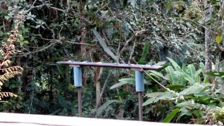 IMG_20160731_144518137