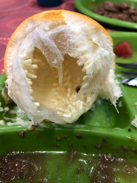 98057F5E-0F8B-44B9-AC54-47F6F3304639